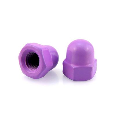 Grade 6.8/ 8.8/ 10.9/ 12.9 Din1587 Acorn Nuts Hex Dome Cap Nuts with Red Color M1-M16