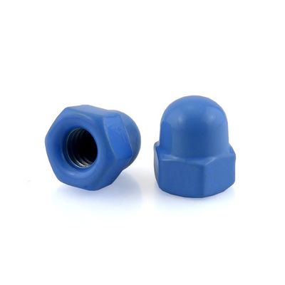 Custom Blue Color Decorative Cap Nut with Passivated Finish Grade 6.8/ 8.8/ 10.9/ 12.9