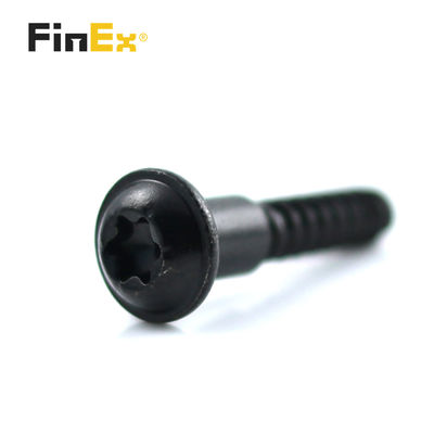 Customized Stainless Steel Truss Head Black Dacromet Pan Torx Step Shoulder Screw