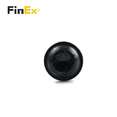 Customized Stainless Steel Truss Head Black Dacromet Pan Torx Step Shoulder Screw