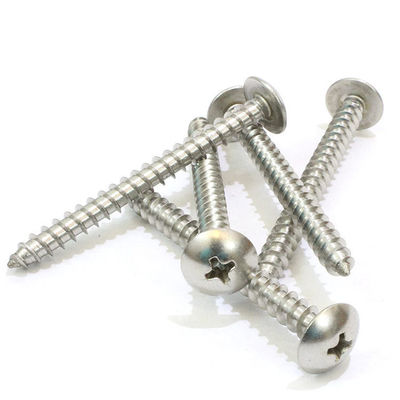 Flat Head Self Tapping Thread or Machine Thread Stainless 304 Carbon Steel Screws