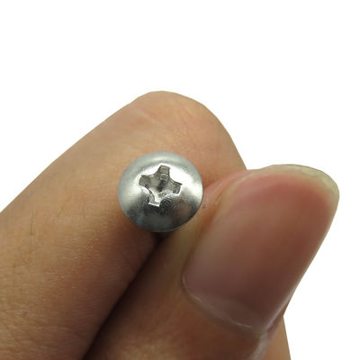Stainless Steel 304 316 Truss Pan Phillips Umbrella Head Mushroom Head Self Tapping Screw