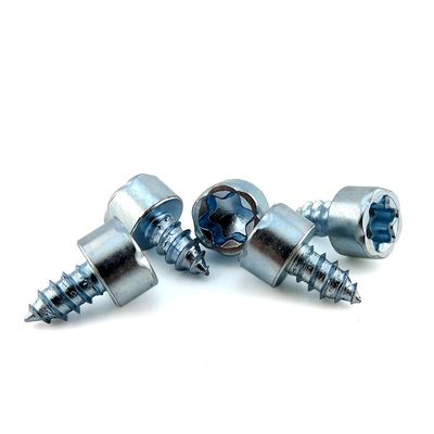 Metric Measurement System SS304 316 Torx Hex Socket Self Tapping Screw