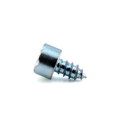 Metric Measurement System SS304 316 Torx Hex Socket Self Tapping Screw