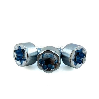 Metric Measurement System SS304 316 Torx Hex Socket Self Tapping Screw