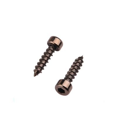 304 410 Stainless Steel Countersunk Torx Terrace Decking Screw for Customized Support OEM