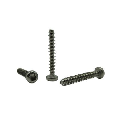 Pan Head Torx 304 Stainless Steel PT Self Tapping Screw PB3*20 customized