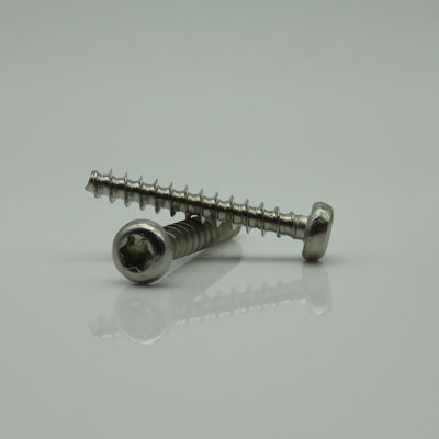 Pan Head Torx 304 Stainless Steel PT Self Tapping Screw PB3*20 customized