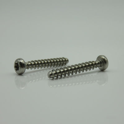 Pan Head Torx 304 Stainless Steel PT Self Tapping Screw PB3*20 customized