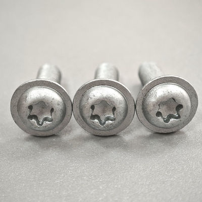 Stainless Steel Gray Dacromet Truss Head Torx Screw Customizable and Versatility