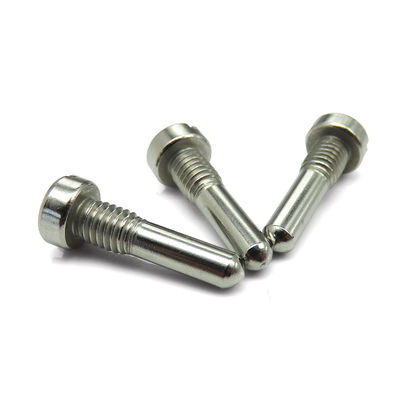 Stainless Steel Custom Metal Screw Fastener For Long Lasting Fitting