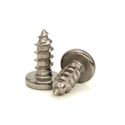 304 Stainless Steel Snake-Eye Security Self-Tapping Screw
