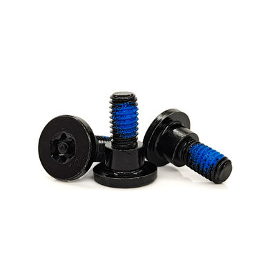 Black Zinc Plated Torx TR40 Security Screw – Anti-Tamper Pin & Nylon Precoat Thread