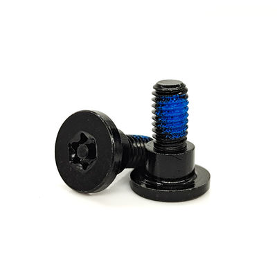 Black Zinc Plated Torx TR40 Security Screw – Anti-Tamper Pin & Nylon Precoat Thread