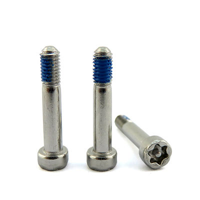Custom Stainless Steel Torx Pin Socket Head Anti-Theft Captive Screw